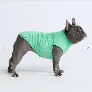 🐾FiNal⬇️Spark Paws Sunblock Dog Tee